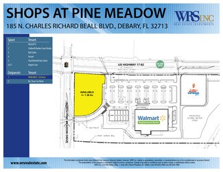 Plus de détails pour 185 N Charles Richard Beall Blvd, DeBary, FL - Terrain à vendre