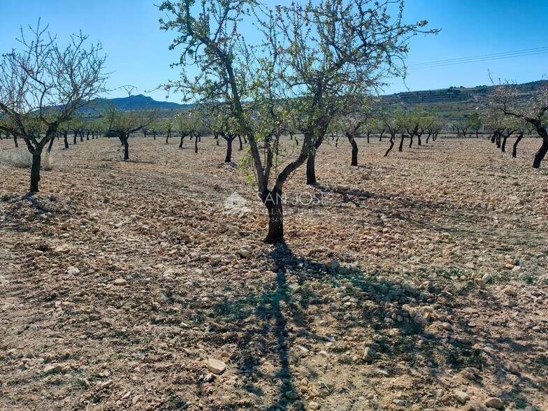 Terrain dans Orihuela, Alicante à vendre - Photo principale – Image 1 sur 11