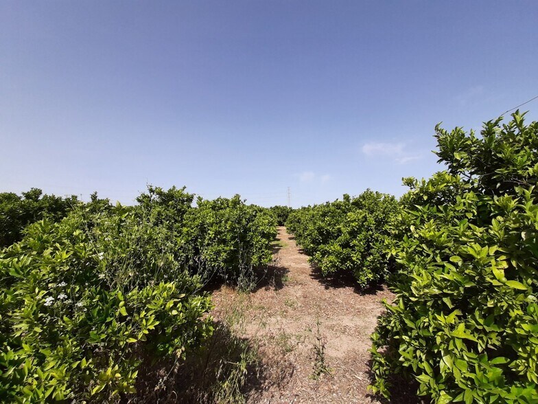 Terrain dans Alzira, Valencia à vendre - Photo principale – Image 3 sur 14