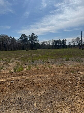 Plus de détails pour 7797 Highway 51, Westover, AL - Terrain à vendre