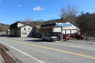 Plus de détails pour 4587 State Route 17b, Callicoon, NY - Local commercial à vendre