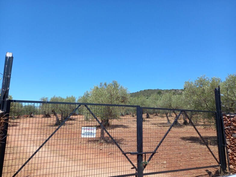 Terrain dans Cáceres, Cáceres à vendre - Photo principale – Image 1 sur 11