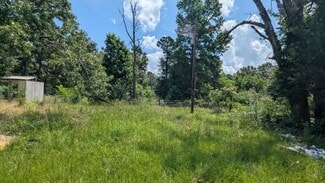 Plus de détails pour 445 County Road 1316, Rusk, TX - Terrain à vendre