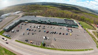 Plus de détails pour 3231 Chestnut Ridge Rd, Grantsville, MD - Local commercial, Local d'activités à louer