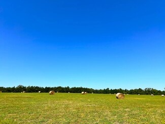 Plus de détails pour 880 Wasden Rd, Hope Hull, AL - Terrain à vendre