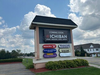 Plus de détails pour 41990-42040 Grand River Ave, Novi, MI - Local commercial, Industriel/Logistique à louer
