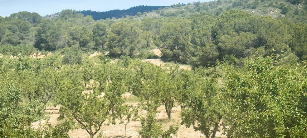 Terrain dans Yecla, Murcia à vendre - Aérien – Image 3 sur 6