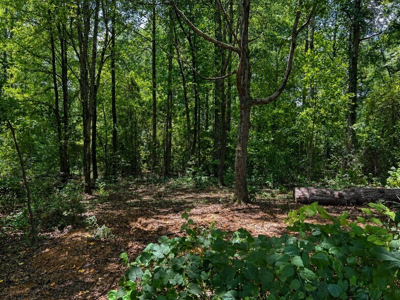 1115 N NC 16 Business Hwy, Denver, NC à louer - Photo de l’immeuble – Image 3 sur 8