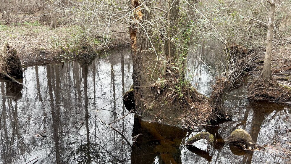 Victoria Blvd, Winnabow, NC à vendre - Vidéo sur l’annonce professionnelle – Image 2 sur 19