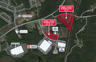 Plus de détails pour 11454 Dry Bridge Rd, Ruther Glen, VA - Terrain à vendre