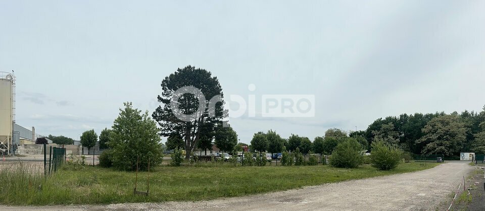 Avenue Des Ferrancins, Torcy à vendre - Photo de l’immeuble – Image 2 sur 7