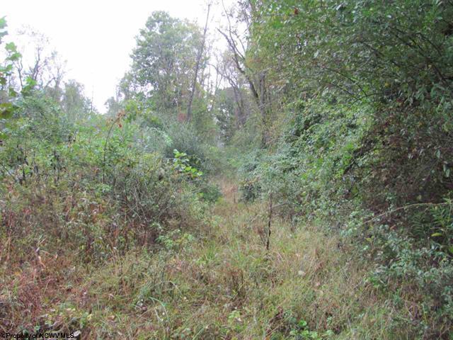 Rosedale Hill, Morgantown, WV à vendre Autre– Image 1 sur 11