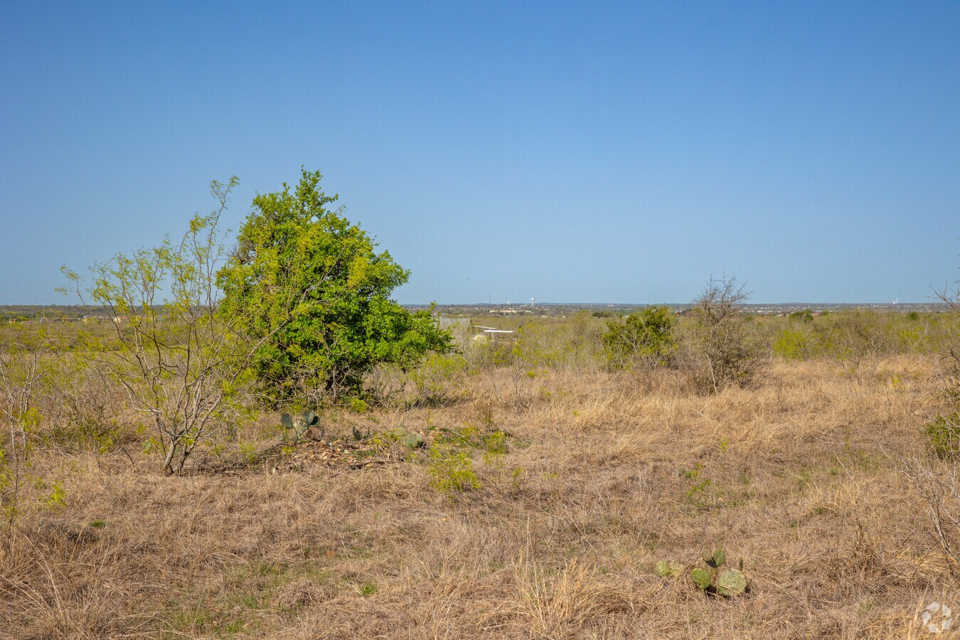 View Photo