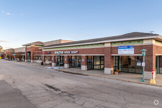 Plus de détails pour 980 Elk Grove Town Ctr, Elk Grove Village, IL - Local commercial à louer