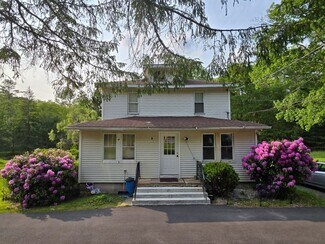 Plus de détails pour 54 Eldred Yulan Rd, Eldred, NY - Logement à vendre
