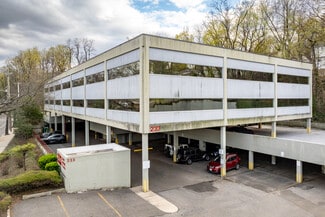 Plus de détails pour 233 E Shore Rd, Great Neck, NY - Bureau/Médical à louer