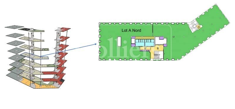 10-16 Rue Mère Elise Rivet, Toulouse à louer - Plan d’étage – Image 3 sur 3