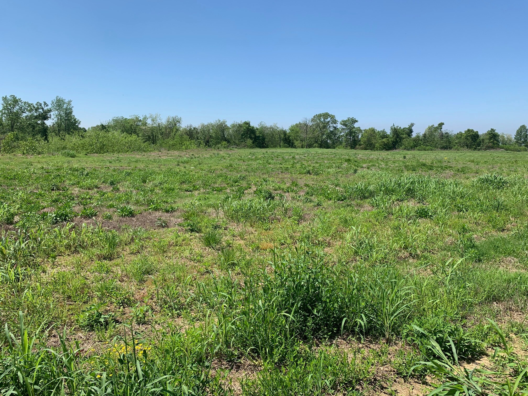 000E-2C Highway 61, Natchez, MS à vendre Photo de l’immeuble– Image 1 sur 4