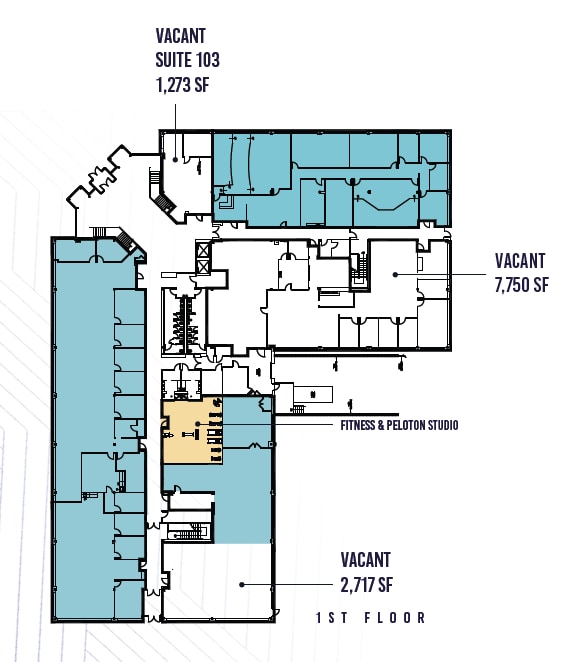 100 Apollo Dr, Chelmsford, MA à louer Plan d’étage– Image 1 sur 1