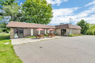 Plus de détails pour 12151 E Chicago Rd, Somerset Center, MI - Local commercial à vendre