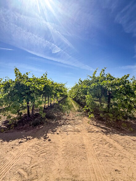 Hwy 65, Bakersfield, CA à vendre - Photo de l’immeuble – Image 1 sur 8