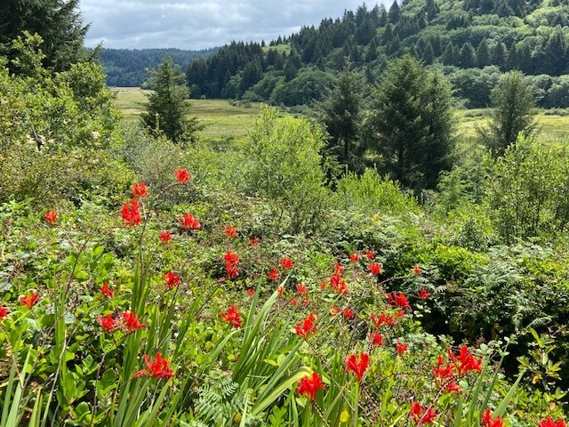 TL 203 Beaver Creek, Seal Rock, OR à vendre - Autre – Image 2 sur 12