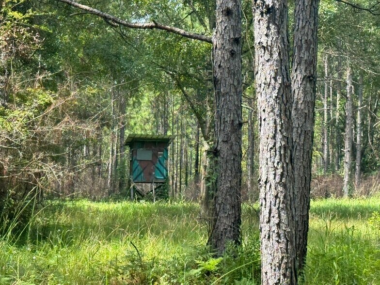0 Nokomis Road, Walnut Hill, FL à vendre - Photo de l’immeuble – Image 3 sur 51
