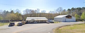 Plus de détails pour 2270 Pelham Rd S, Jacksonville, AL - Local commercial à vendre