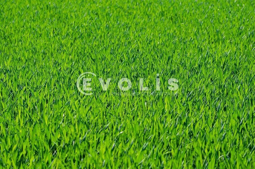 Terrain dans Le Teich à vendre - Photo de l’immeuble – Image 3 sur 5