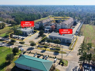 Plus de détails pour 8201 Cypresswood Dr, Spring, TX - Bureau/Médical à louer