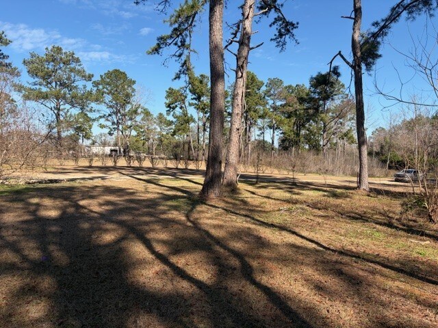 Louvinia Dr, Tallahassee, FL à vendre - Photo de l’immeuble – Image 2 sur 10
