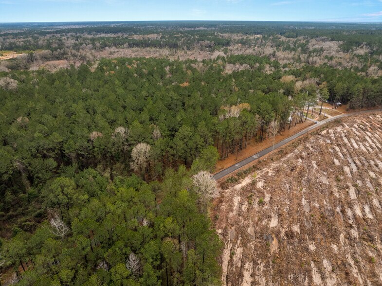 TBD 11 acres Tatoo Rd, Glenmora, LA à vendre - Photo de l’immeuble – Image 3 sur 17