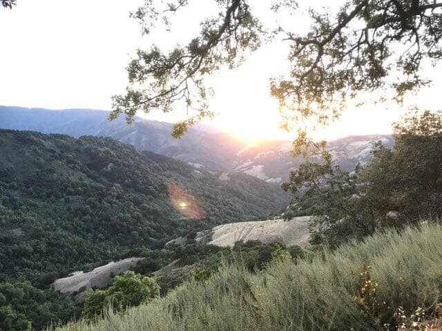 View Photo