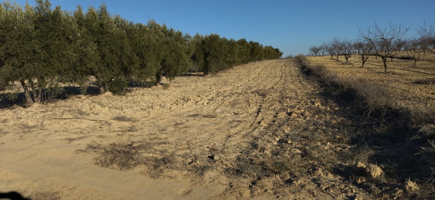 Terrain dans Calasparra, Murcia à vendre Plan de site– Image 1 sur 16