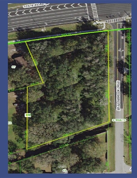 State Route 54 & Meadowbrook Dr, Lutz, FL à louer - Photo principale – Image 1 sur 1