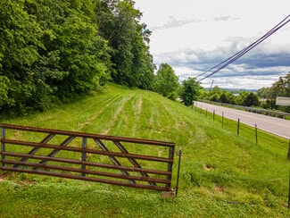 Plus de détails pour 31647 Charleston Rd, Leon, WV - Terrain à vendre