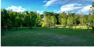 Plus de détails pour 18139 US 301, Dade City, FL - Terrain à vendre