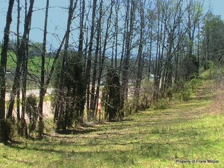 Plus de détails pour 135 Bl Moore Ln, Jonesborough, TN - Terrain à louer
