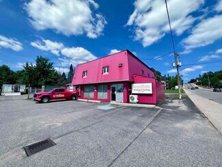 Plus de détails pour 347 Lake St, Sault Ste. Marie, ON - Local commercial à vendre
