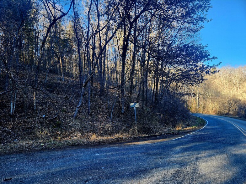 Lyle Wilson Rd, Cullowhee, NC à vendre - Autre – Image 2 sur 4