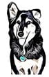 Mydogjack, LLC