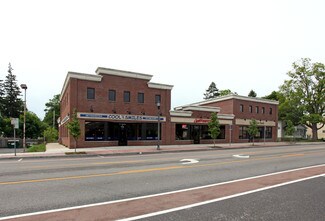 Plus de détails pour 209-221 Main St, East Aurora, NY - Bureau, Bureau/Local commercial à louer