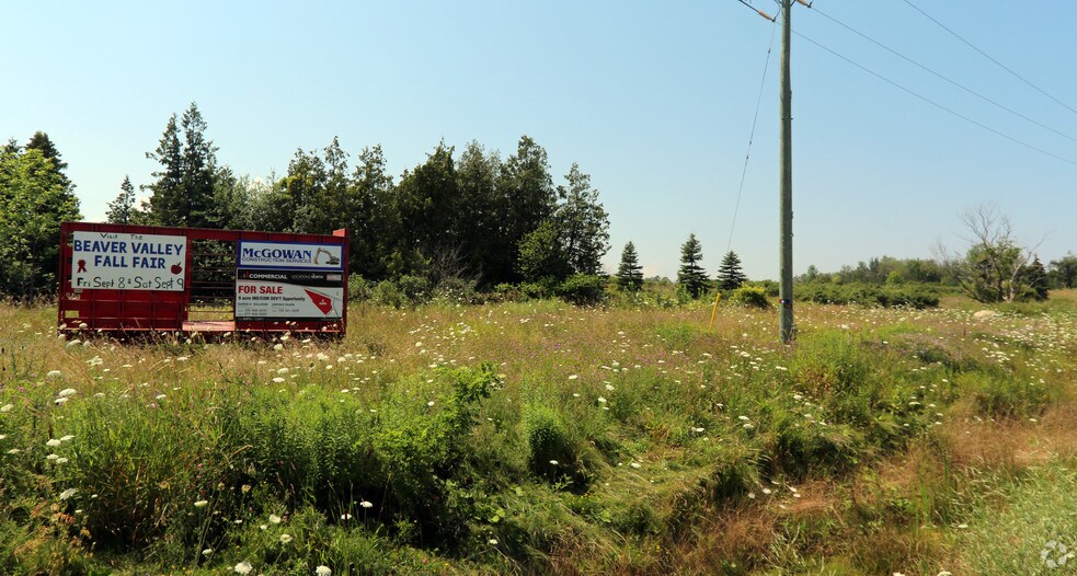 Lot 31 Clark St, Blue Mountains, ON à vendre - Autre – Image 2 sur 5