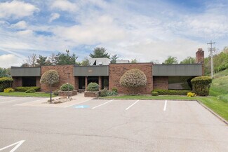 Plus de détails pour 609 Epsilon Dr, Pittsburgh, PA - Bureau/Médical à louer