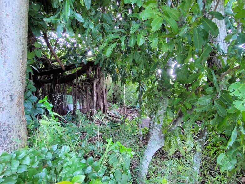 5470 SE Ebbtide Ave, Stuart, FL à vendre - Autre – Image 3 sur 36