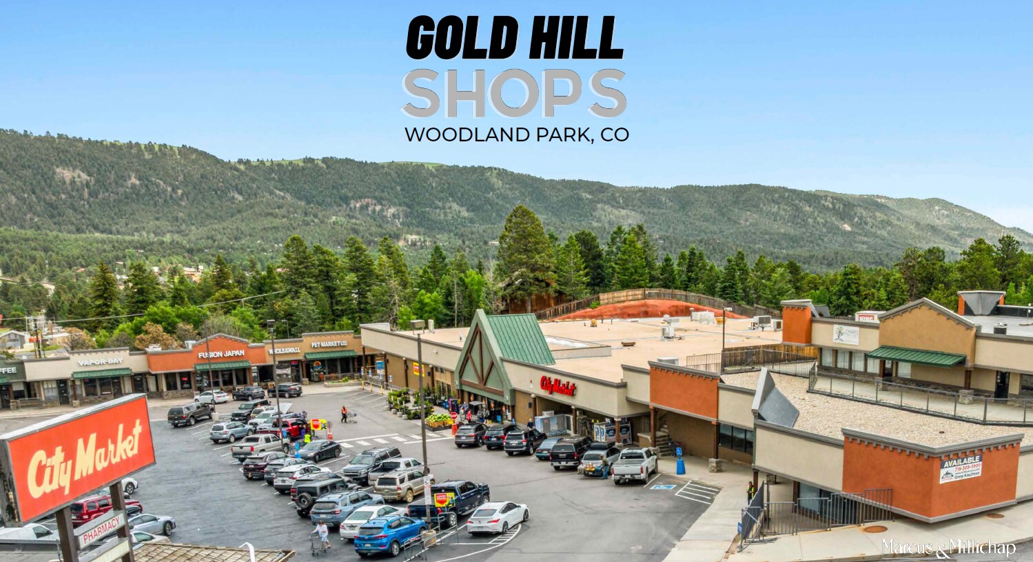 770 Gold Hill Place hl, Woodland Park, CO à vendre Photo principale– Image 1 sur 7