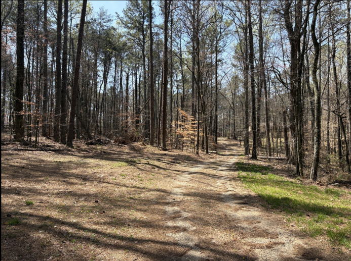 375 Pleasant Union Rd, Canton, GA à vendre Photo principale– Image 1 sur 2
