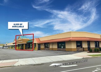Plus de détails pour 6520-6560 Niagara Falls Blvd, Niagara Falls, NY - Local commercial à louer