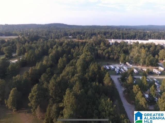 4715 Speedway Blvd, Lincoln, AL à vendre - Photo de l’immeuble – Image 2 sur 5