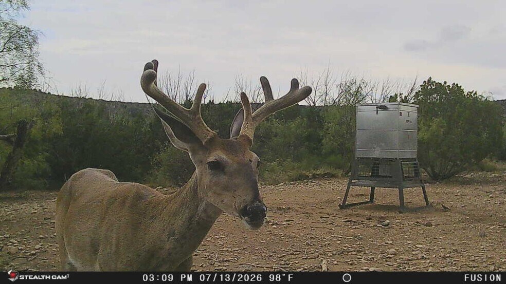 0000 Clegg Rd, Ozona, TX à vendre - Photo de l’immeuble – Image 2 sur 16